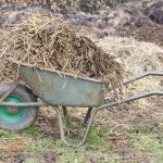 manure-wheelbarrow-wheelbarrows-2168726.jpg